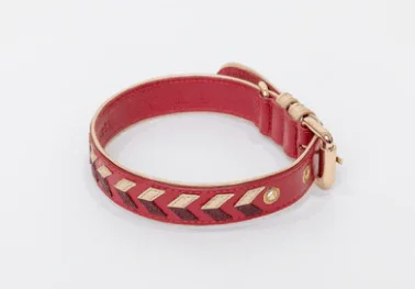 La Dorada Dog Collar