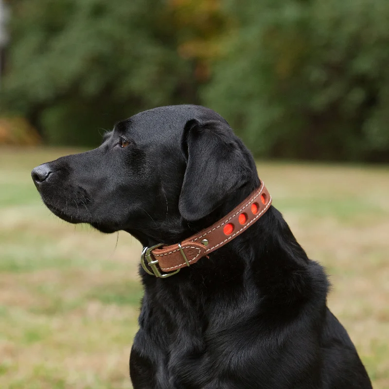 Leather High Vis Reflective Dog Collar