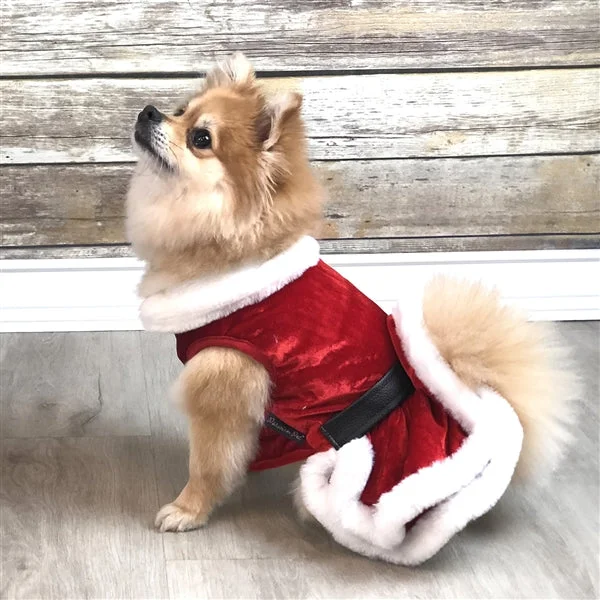 Mrs. Claus Winter Dog Dress