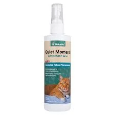 Quiet Moments - Calming Room Spray