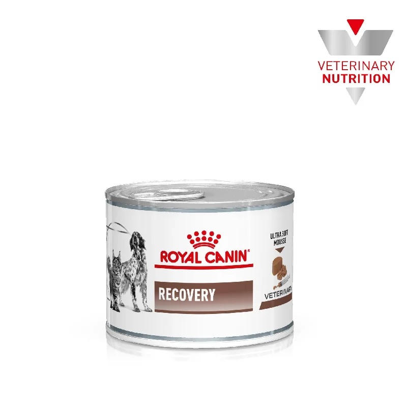 Royal Canin Veterinary Diet Recovery Adult Cat and Dog Wet Food 195g x 12