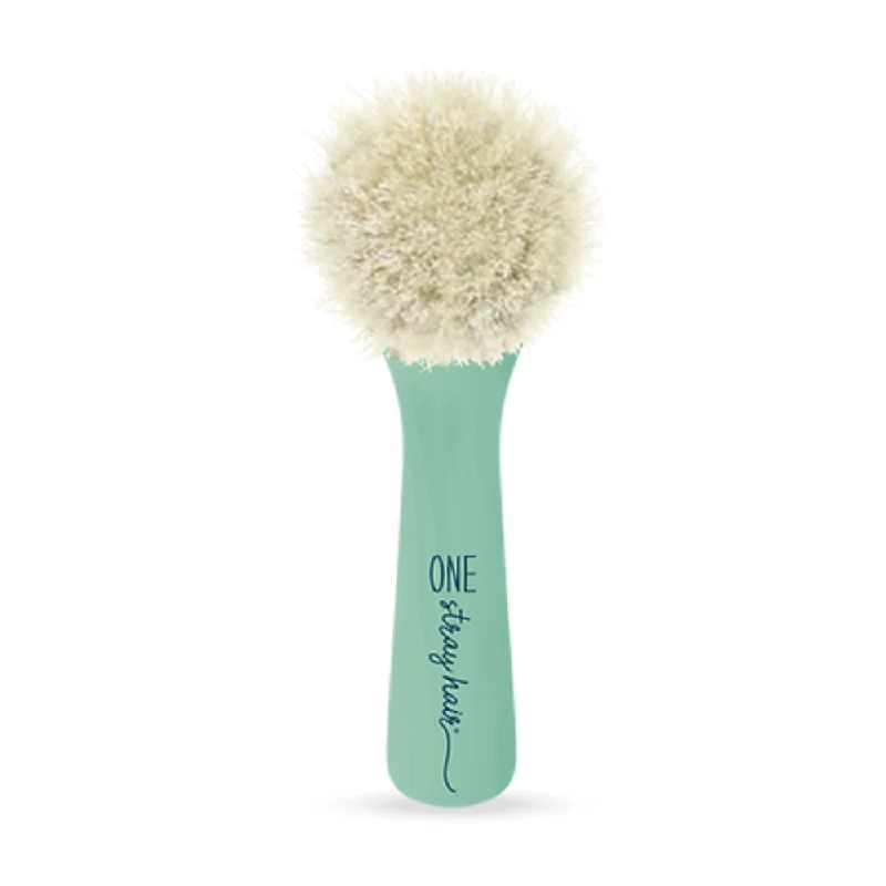 One Stray Hair Sea Glass Powder Brush For Dogs