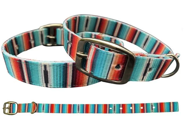 Teal Serape Southwest design nylon dog collar.