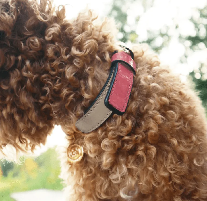 The Bella: Handcrafted Pet Collar