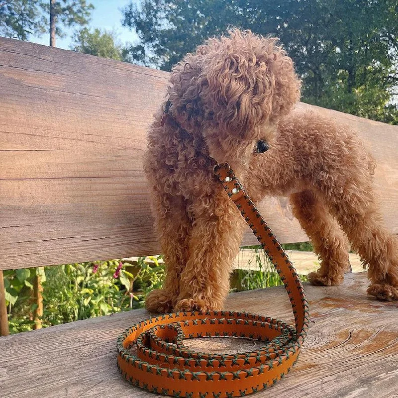 The Ellie: Handcrafted Pet Leash