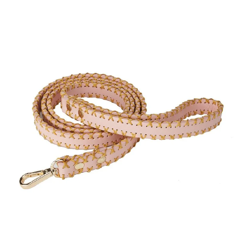 The Rosie: Handcrafted Pet Leash