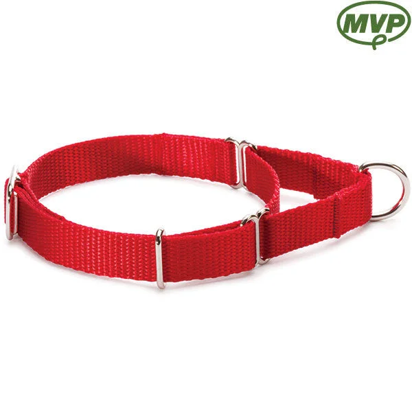 3/4" Large Martingale-Style Collar