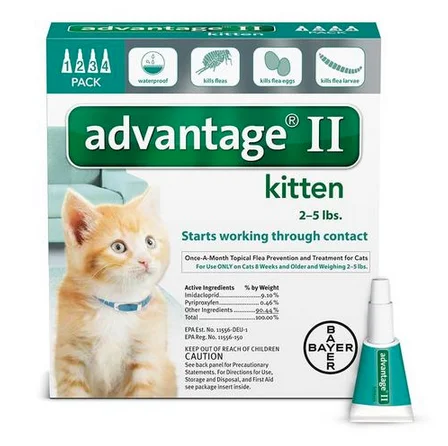 Advantage II Kitten 4 pk - Turquiose