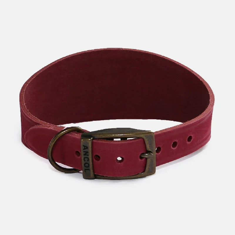 Ancol Timberwolf Greyhound Collar