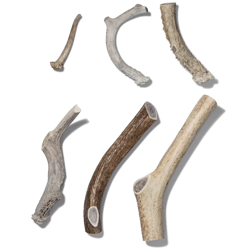 Natural Whole Big Antlers for Dogs