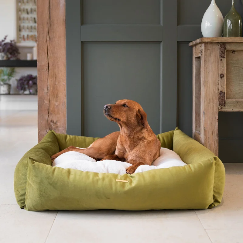 Box Bed in Olive Velvet by Lords & Labradors