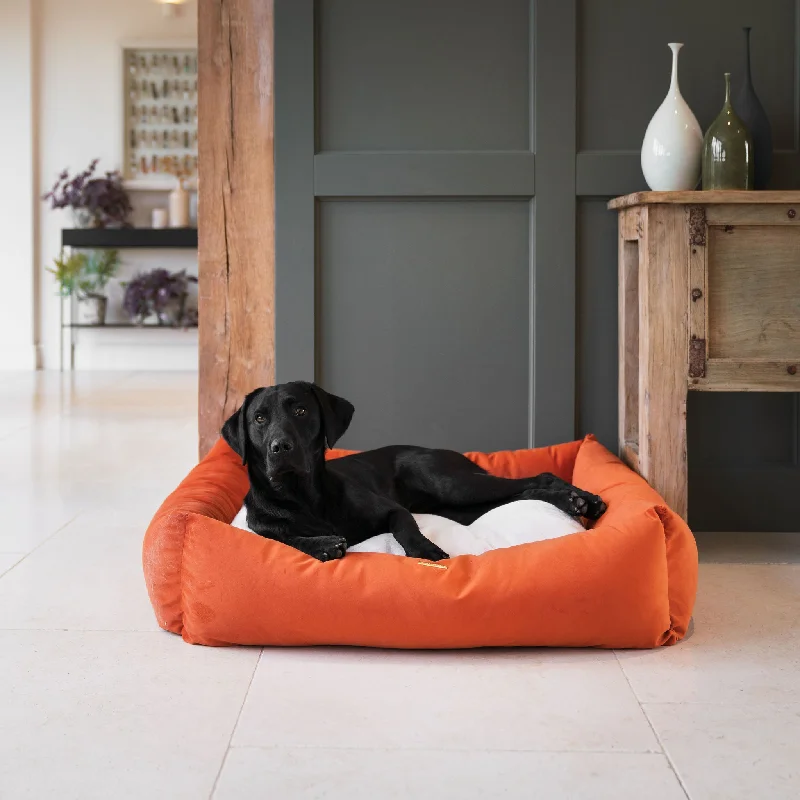 Box Bed In Pumpkin Velvet by Lords & Labradors