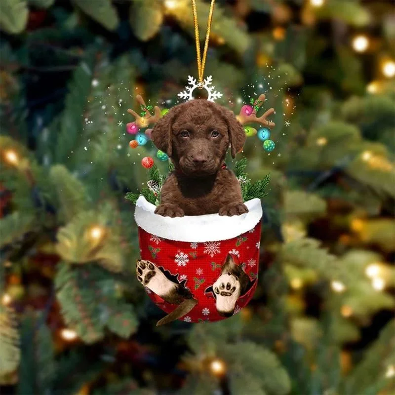 Chesapeake Bay Retrievers In Snow Pocket Christmas Ornament SP083