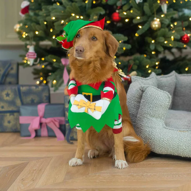 Christmas Elf Pup Fancy Dress Costume