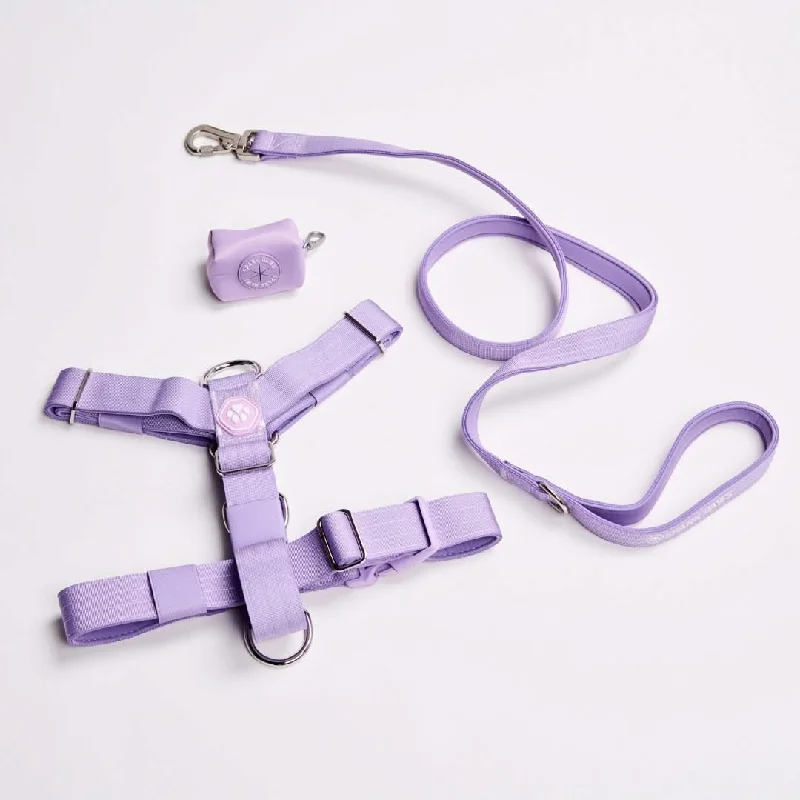 Comfort Control No-Pull Dog Harness Set - Lilac