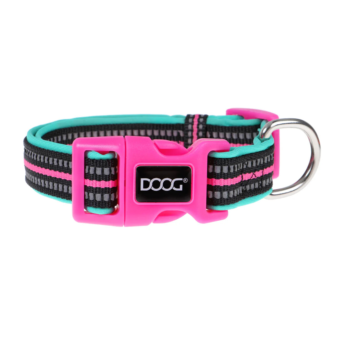 DOOG Neoprene Rin Tin Tin Neon Teal and Pink Dog Collar Large