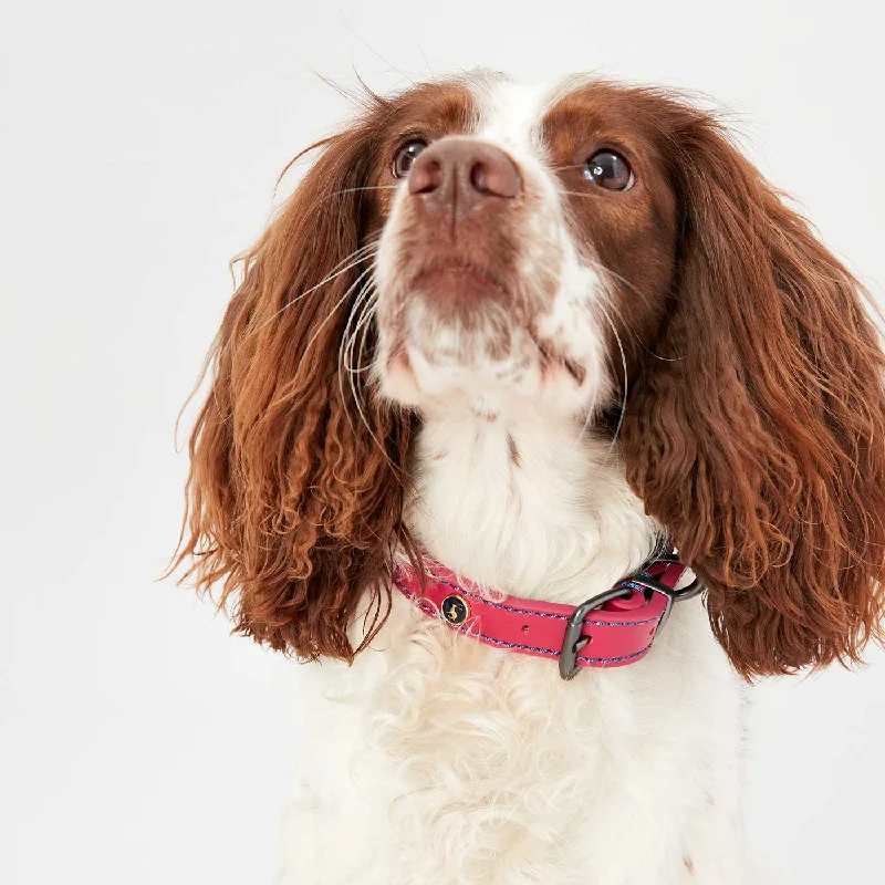 Joules Pink Leather Dog Collar