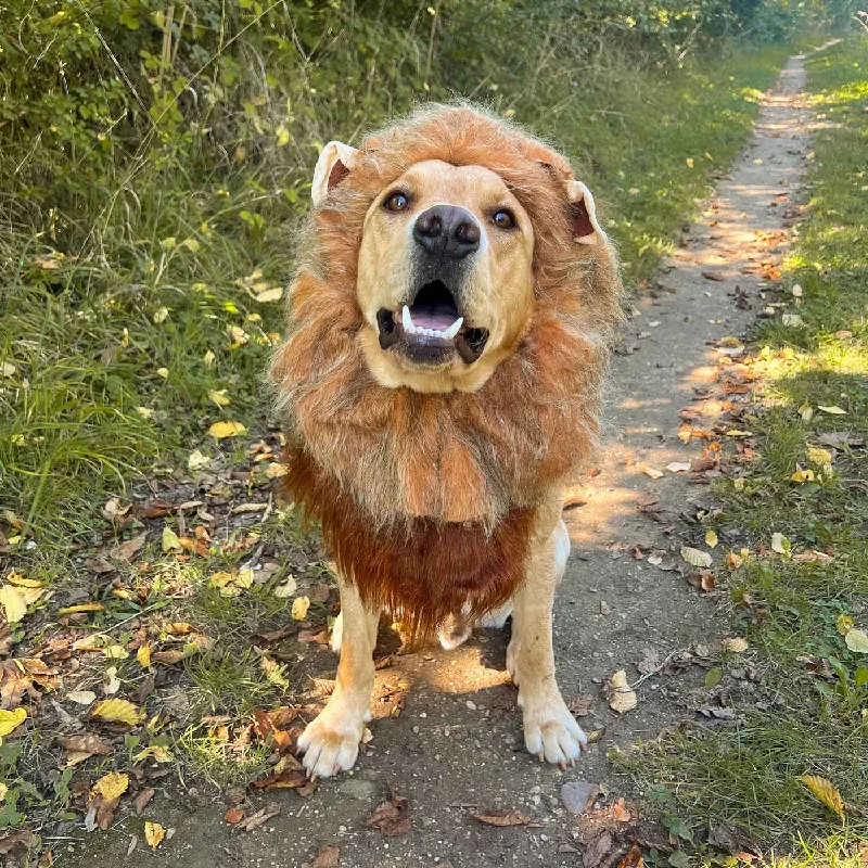 King Of The Jungle Dog Costume