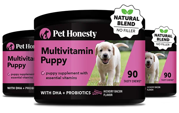 Multivitamin Puppy 3-Pack (Bacon Flavor)