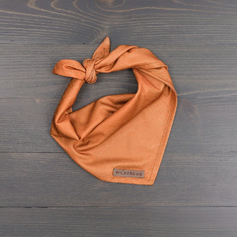 Orange Topo Bandana