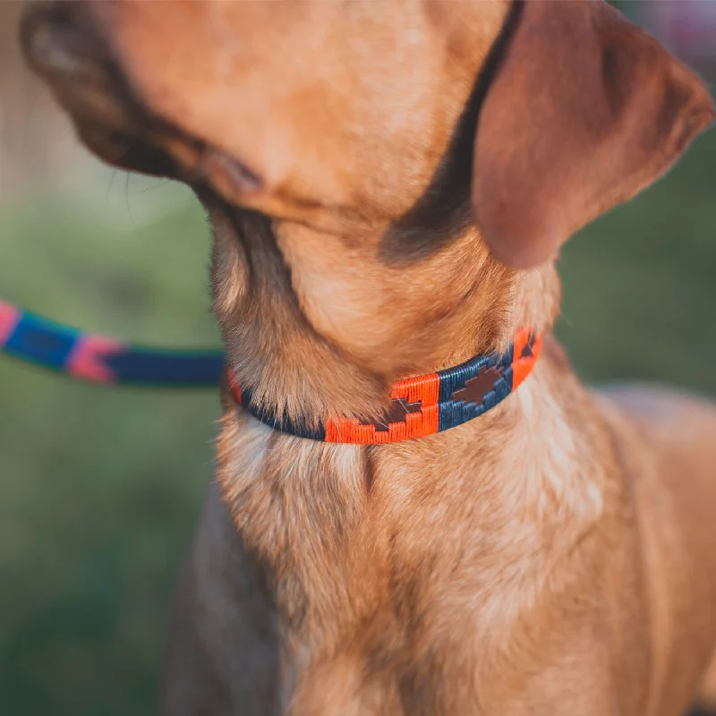 Pampeano Audaz Dog Collar