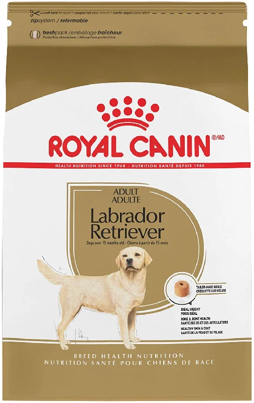 Royal Canin Adult Labrador Retriever Dry Dog Food