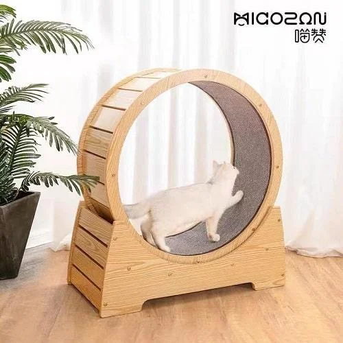 Silent Wooden Cat Running Wheel