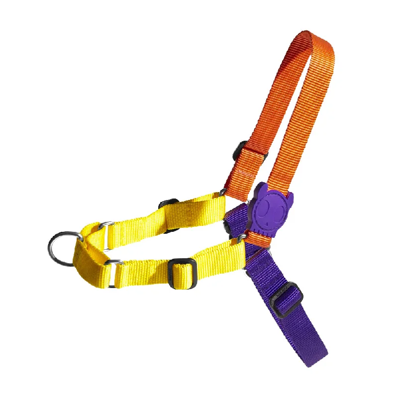 Pump Soft-Walk Harness