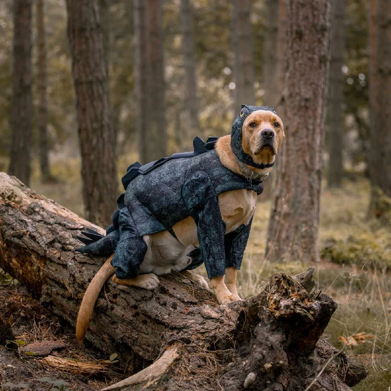 Stegosaurus Dog Costume