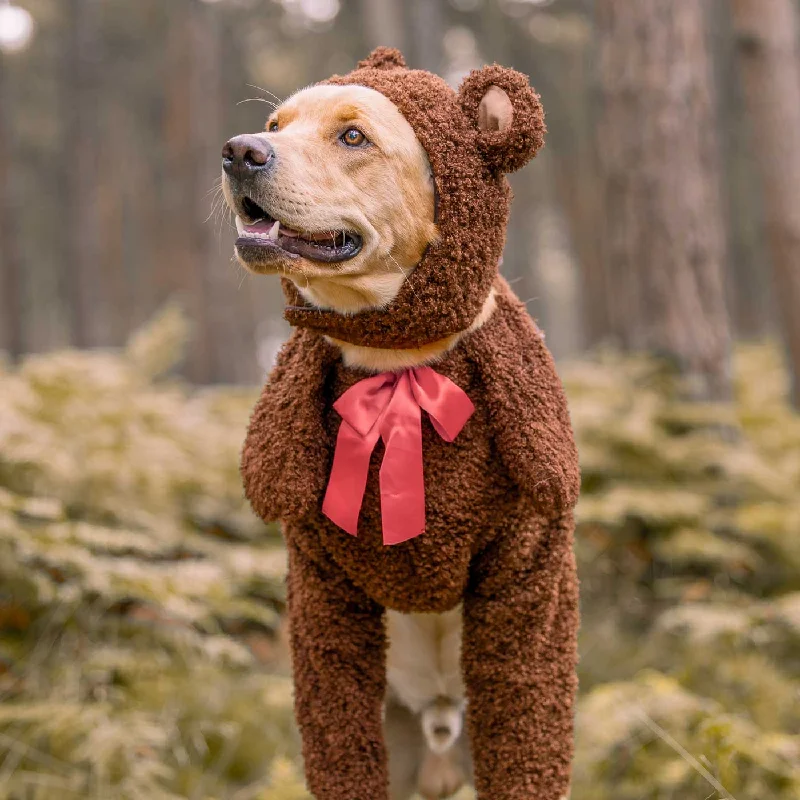 Teddy Bear Dog Costume